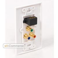 HDMI Wall Plate with HDMI Port